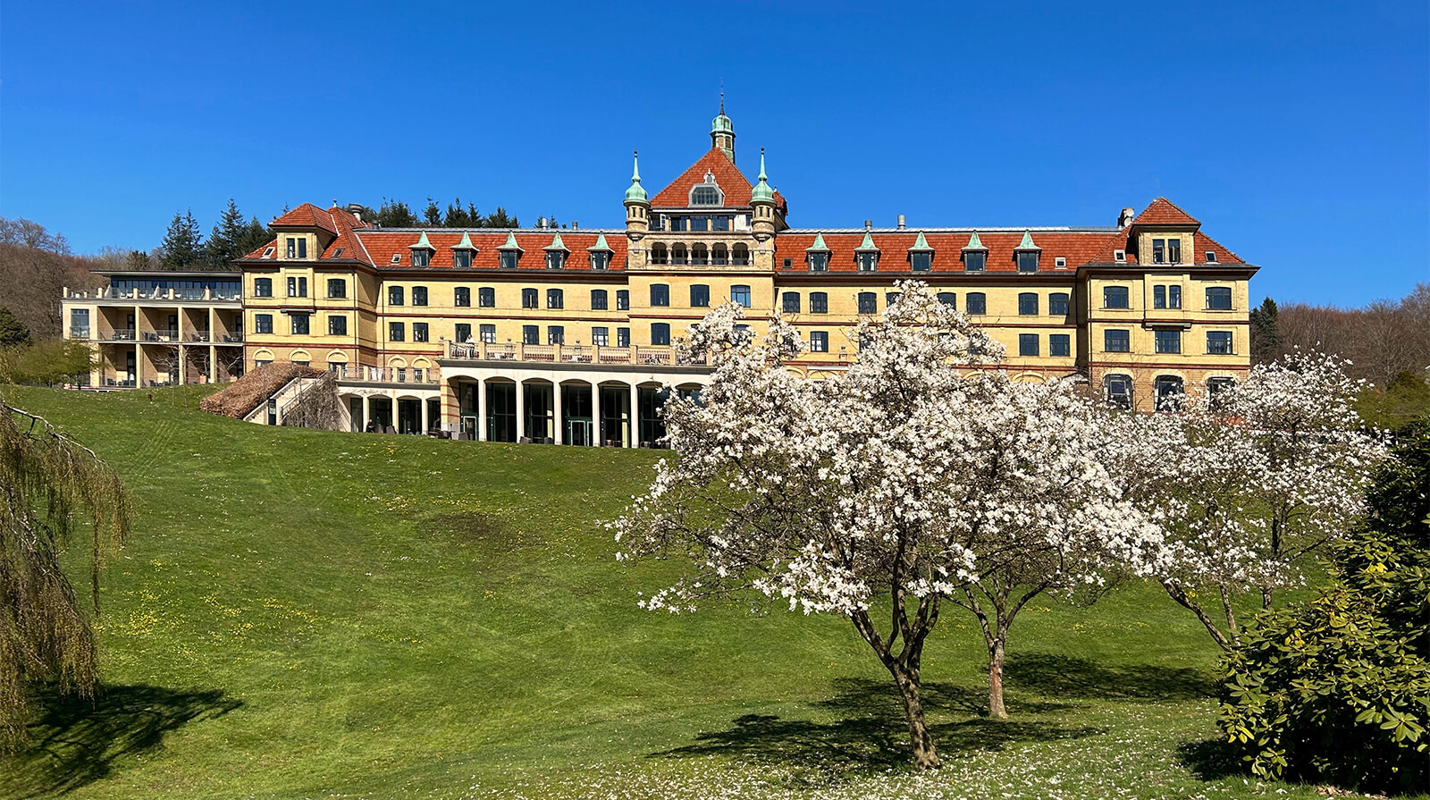 Hotel Vejlefjord